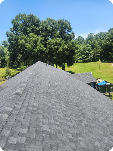 a1196779-2bf7-442d-a8c6-ddd3edc0139b 2